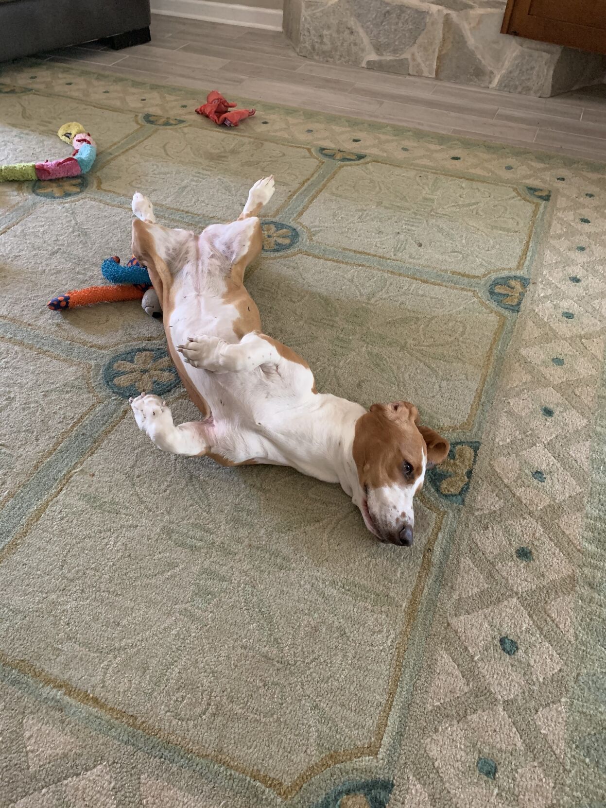 Lousie feeling lazy